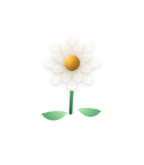 Daisy tier